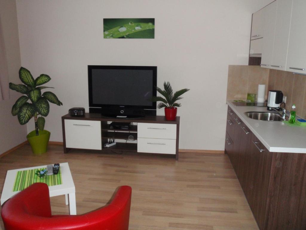Apartmanovy penzion Park Nové Mesto nad Váhom Pokoj fotografie